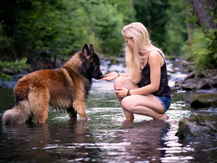 Belgischer Schaeferhund mit Frauchen im Wasser